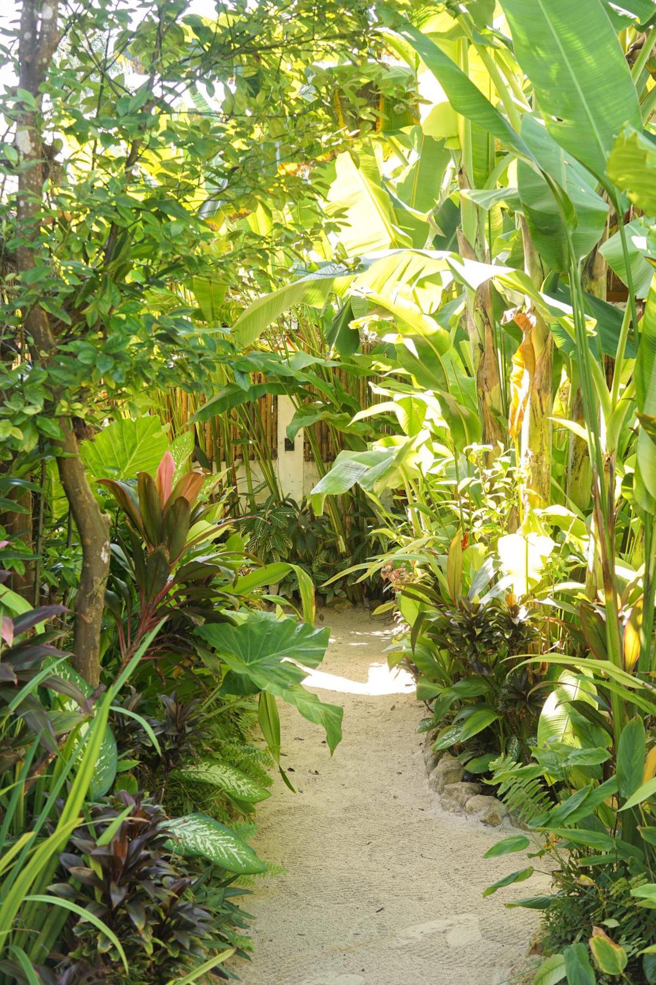 Guest house Greenhouse Siargao Roadside Boutique *
